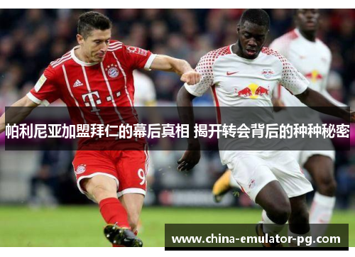帕利尼亚加盟拜仁的幕后真相 揭开转会背后的种种秘密 帕利尼亚加盟拜仁的幕后真相 揭开转会背后的种种秘密